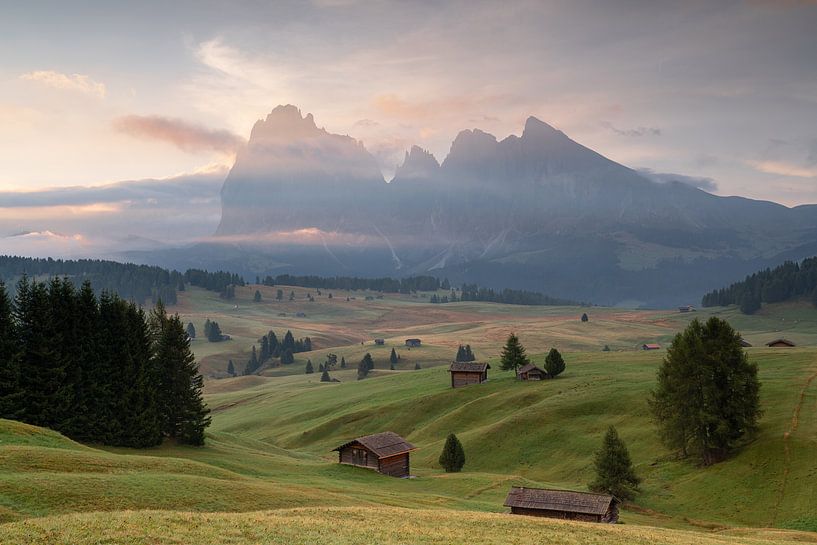Alpe di Siusi, Dolomites, Italy by Alexander Ludwig