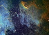 Pelican Nebula