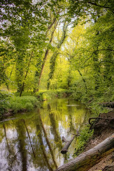 Bekendelle von Hans Monasso