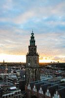 Soaring birds from the Martinitoren in Groningen during sunset