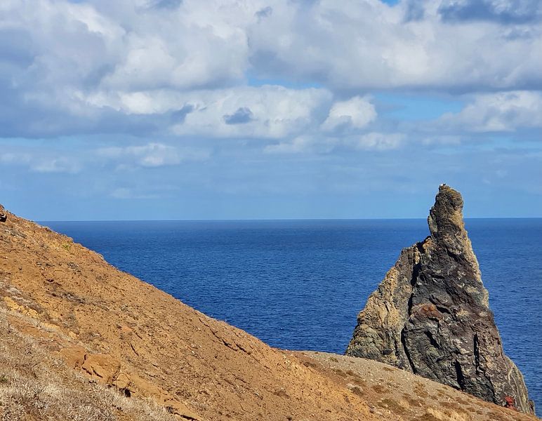 Madeira #20 by zam art