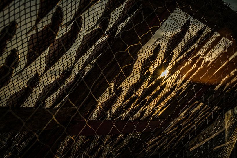 gedroogde vis von Frans Scherpenisse