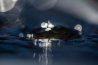 Magische, geheimnisvolle Wasserskulptur