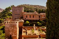 Alhambra-Paläste in Granada