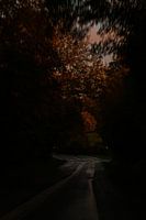 Couleurs d'automne le long de la route