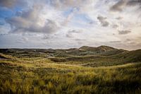 Paysage de dunes typique des Pays-Bas