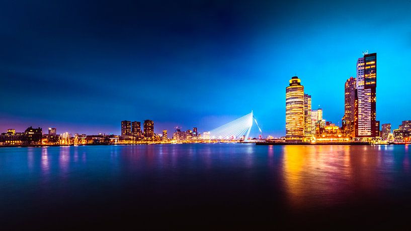 Rotterdamer Skyline Erasmusbrücke von Lesley Gudders