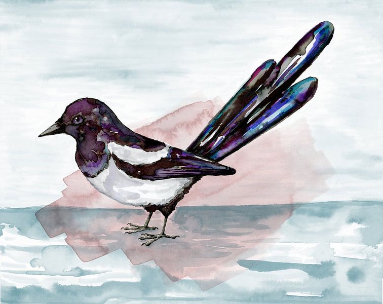 Magpie watercolour drawing by Bianca Wisseloo