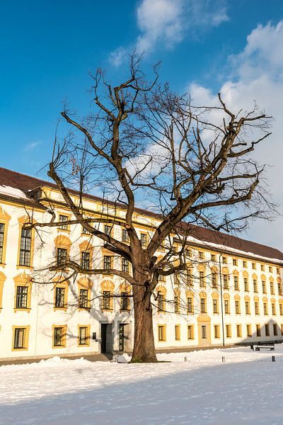 Residentie Kempten in de Allgäu in de winter met kale boom van Dieter Walther