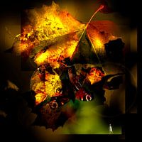 AUTUMN COCOON: THE PROMISE