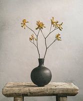 Kangaroo leg and black vase