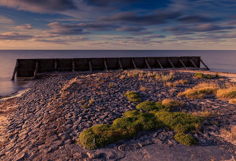 Vegetation an der alten Ufermauer. von peterheinspictures