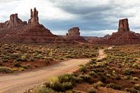 Vallée des Dieux, Utah, USA