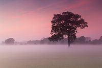 Sonnenuntergang Doetinchem