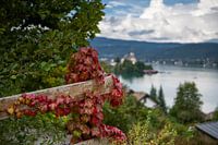 Autumn at Lake Wörthersee