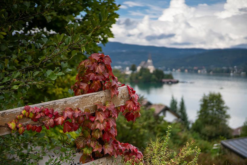 Autumn at Lake Wörthersee by Alfred Meester