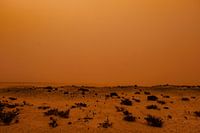 Calima - Rusty brown landscape