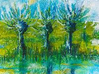 Weiden entlang des niederländischen Deichs