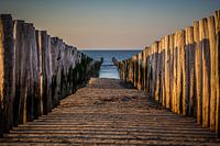 Zwischen den Pfählen am Strand von Domburg