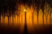 Zonsopkomst in Uitgeest