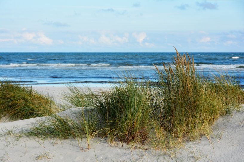 North Beach Zingst van Joachim G. Pinkawa