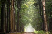 Après une douche d'été