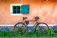 Vélo à l'ancienne dans le jardin
