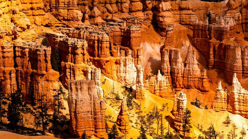 wunderschöne Felsformation mit Hoodoos am Bryce Canyon Nationalpark in Utah USA von Dieter Walther