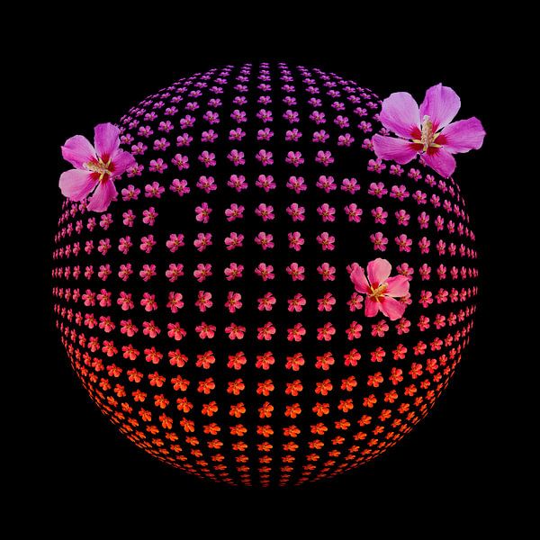 Hibiscus Planet Breakout by Klaartje Majoor