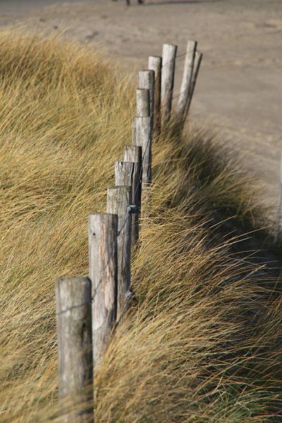 Zaun auf der Düne von Corinna Vollertsen