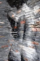 Versteinert, versteinert