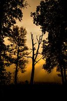 Sunrise Wellenseind NB