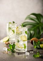 Mojito Cocktail mit Limette und Minze in einem Longdrinkglas