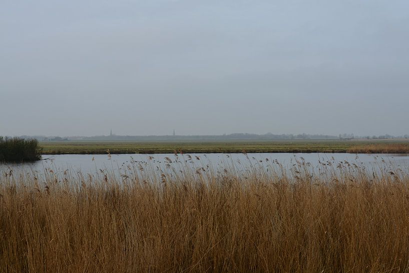  Broekpolder vue Maasland par FotoGraaGHanneke