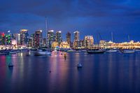 Classy San Diego Harbor Night