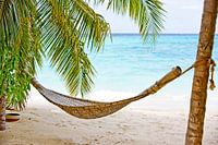 Hängematte an einem tropischen Strand