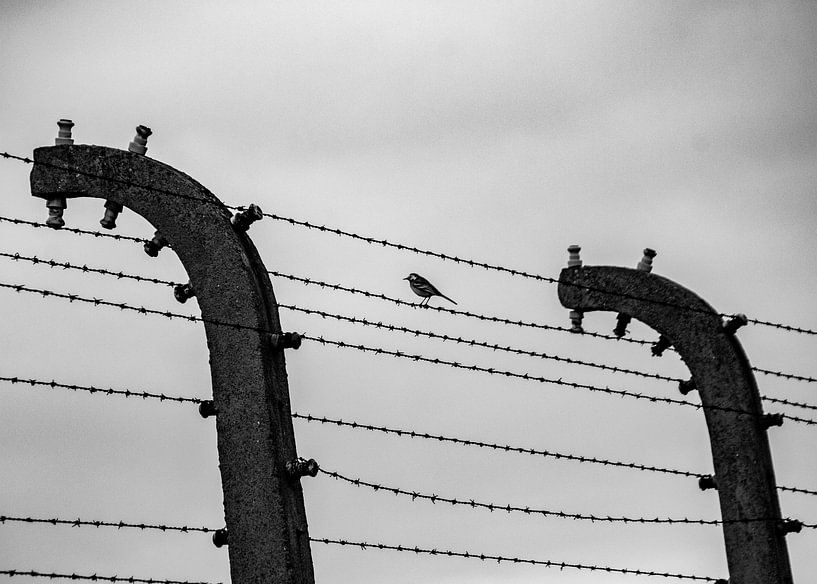 Damit wir nie vergessen -08 von Marlies Gerritsen Photography