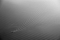 Supper op het meer van Bled