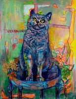 Britisch-Kurzhaar-Katze