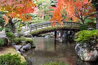 Japanese serene garden with moss bridge