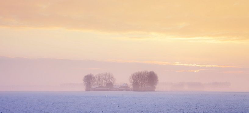 Paysage d'hiver Zélande par Frank Peters