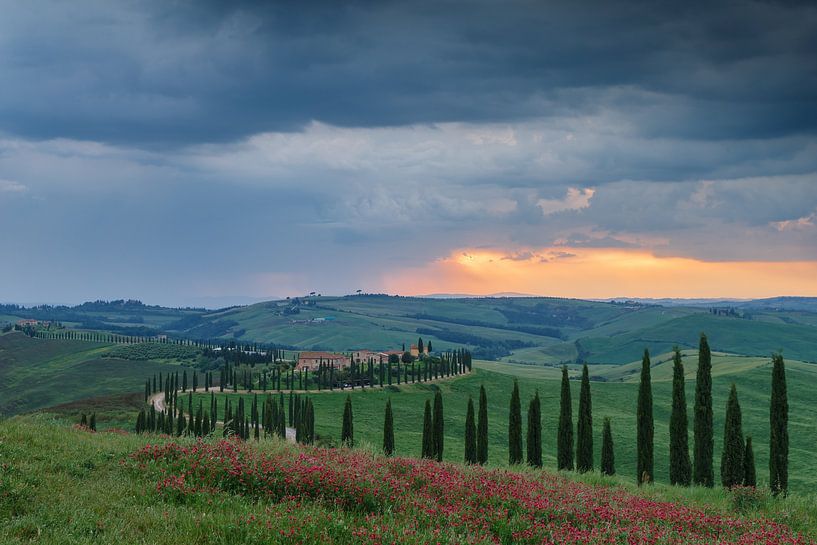 Avenue des cyprès en Toscane par Menno Schaefer