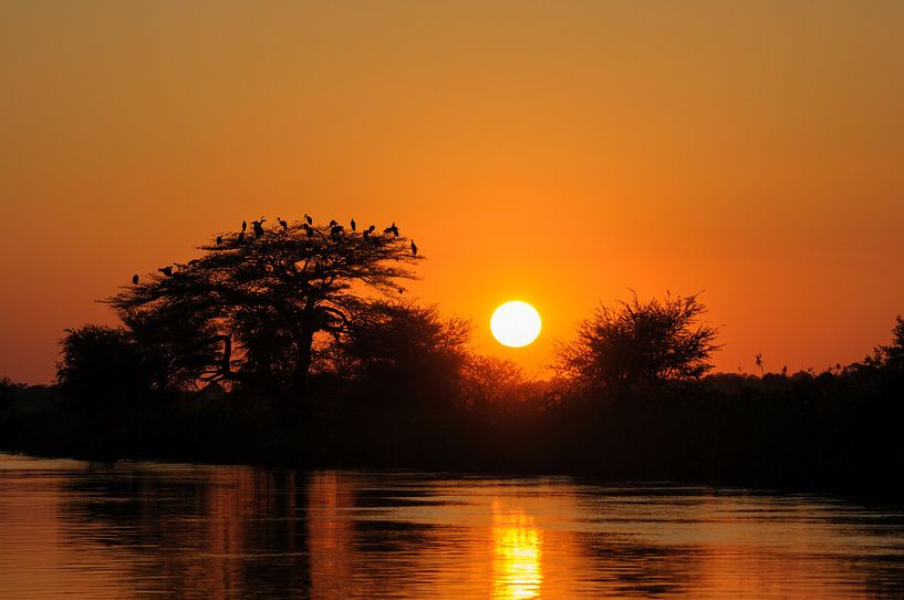 Okavango-Fluss bei Sonnenuntergang von Felix Sedney