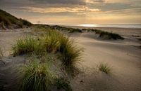 Soleil du soir sur la plage d'Ameland