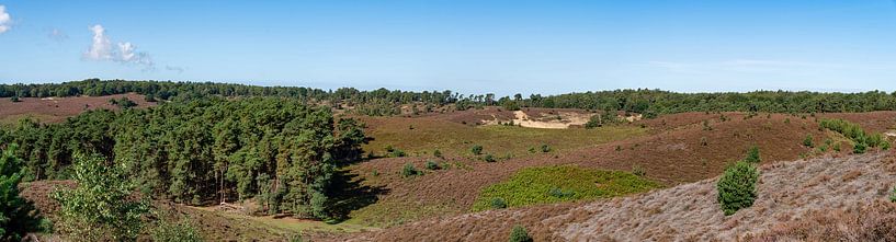 Posbank von Bob de Bruin