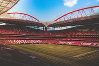 Sport Lisboa Benfica - Estadio da Luz