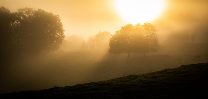 Herbstsonne von Frans Scherpenisse