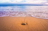 Une sensation de calme et de détente sur la plage