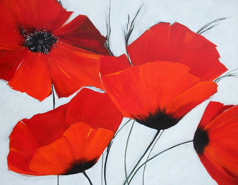Fleur préférée : pavot rouge par Claudia Neubauer