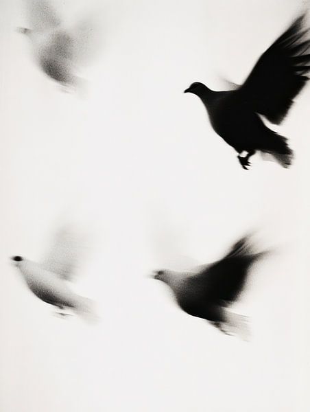 Pigeons by Franka Poulain